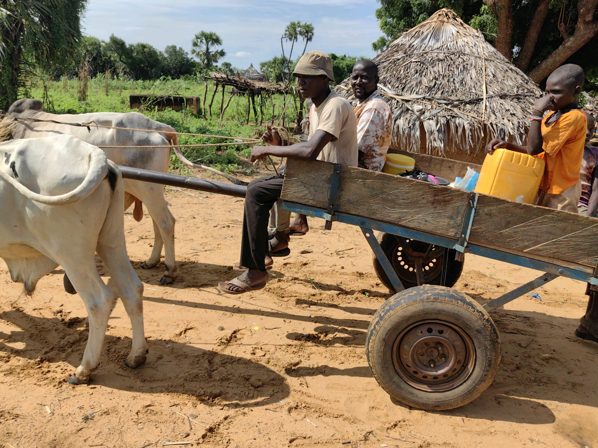 Vie Rurale au Niger
